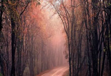 雷竞技：[CBA]孙铭徽击地妙传 胡金秋跟进上篮得手.