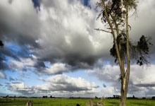 雷竞技：Shams：杜兰特将伤停至少一周确认缺席三连客，太阳无他2胜11负.