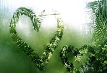 詹姆斯32+14+10浓眉31+9 湖人力克国王三连胜.