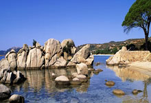 雷竞技：Shams：杜兰特将伤停至少一周确认缺席三连客，太阳无他2胜11负.